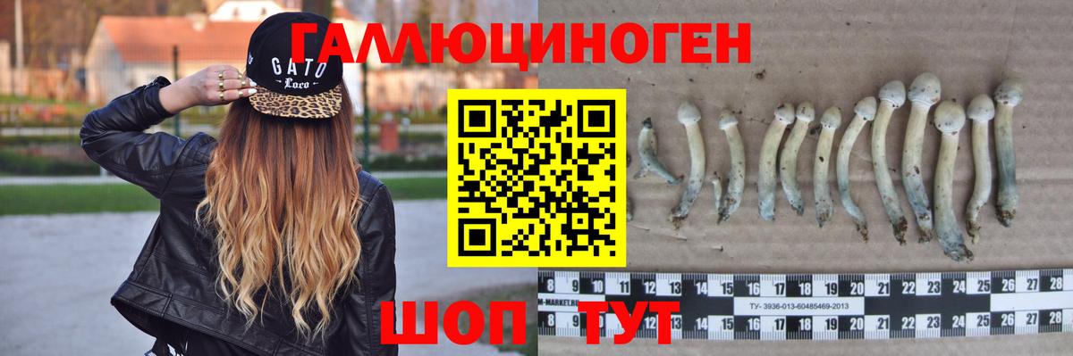 Отрадное  Галлюциногенные грибы Cubensis  магазин продажи   Вход с VPN 