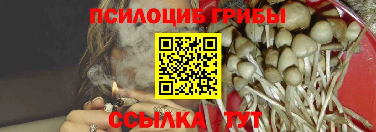Галлюциногенные грибы Psilocybine cubensis Отрадное